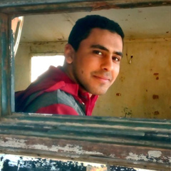 Osama Fouda, Mansoura