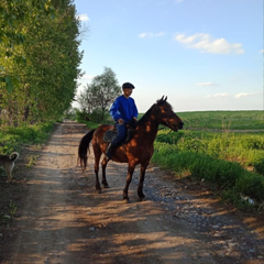 Абылай Абдыкаимов, 30 лет, Алматы