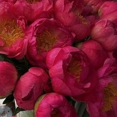 Нафиса Мухамедова, 31 год, Шымкент