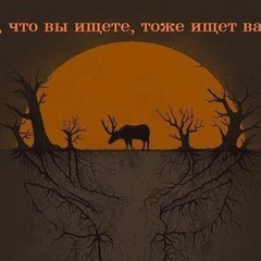 Денис Кудряшов, Москва