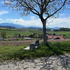 Виктория Кайзер, Bern