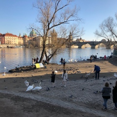 Марина Лазаренко, 41 год, Москва