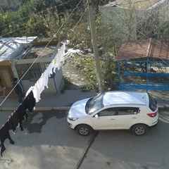 Toqrul Rzayev, Баку