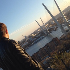 Дмитрий Шуругин, 38 лет, Новосибирск