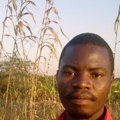 Morgan Chirwa, 34 года, Lilongwe