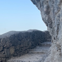 Светлана Аржанова, Пушкино