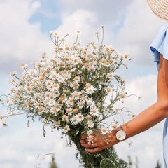 Юлия Савельева, Курск