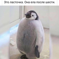Руслан Цорь, 34 года, Казань