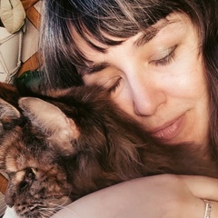 Анна Чернова, 41 год, Новосибирск