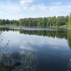 Виктор Кузнецов