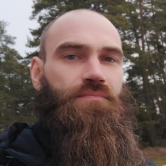 Дмитрий Сарапкин, 37 лет, Санкт-Петербург