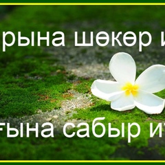 Дильбар Ахмадеева, 32 года, Стерлитамак