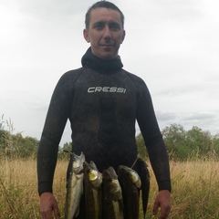 Михаил Чижиков, 41 год, Лотошино