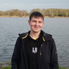 Александр Птицов, 36 лет, Павловский Посад