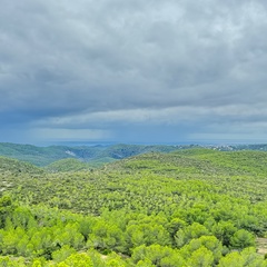 Денис Николаев, Санкт-Петербург