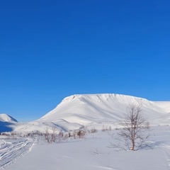 Вал Кар, Мурманск