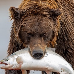 Артём Я, Южно-Сахалинск