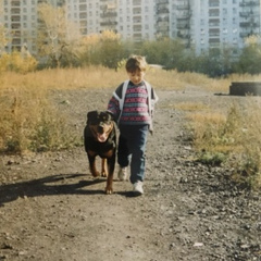 Маркелл Давыдов, Москва