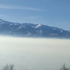 Gyl Aina, Санкт-Петербург