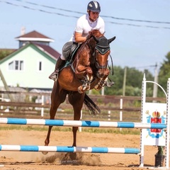 Александр Василевский, 32 года, Санкт-Петербург