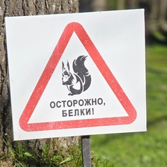 Елена Позднякова, Москва