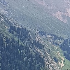 Мейрамбек Аккас, Алматы