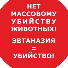 Анна Колосова, 38 лет, Москва