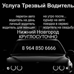 Трезвый Водитель, Нижний Новгород