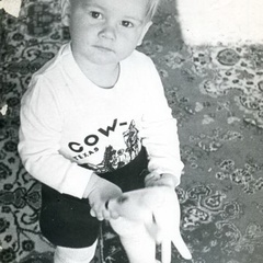 Дмитрий Баталов, Москва
