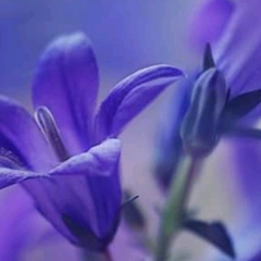 София Панкратова, 57 лет