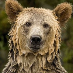 Джек Смит, 35 лет, Vancouver
