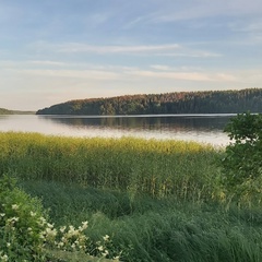 Олег Парамонов, Санкт-Петербург