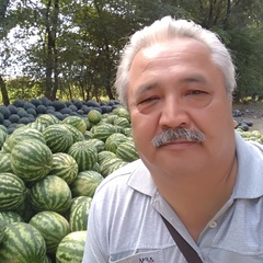 Нурлан Ембергенов, 65 лет, Караганда