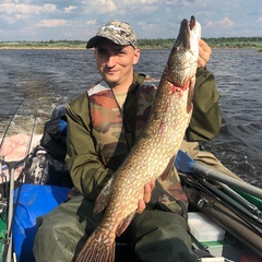 Денис Кузьбожев, 37 лет, Печора