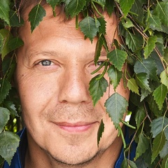 Дмитрий Чапайкин, 41 год, Санкт-Петербург