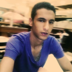 Amr Eldeep, 31 год, Sharm el-Sheikh