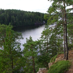 Елена Тараненко, Санкт-Петербург