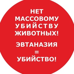 Ольга Корнева, 42 года, Санкт-Петербург