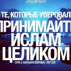 Амирбек Ходжиев, Новосибирск