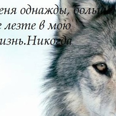 Алексей Олейников, Прохладный