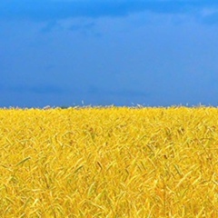 Артём Шурдуков, Днепр (Днепропетровск)