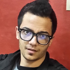 Adel Ibrahim, Mansoura