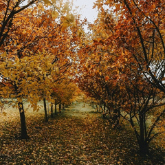 Бауыржан Сартбаев, Актау