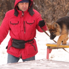 Илья Ястребов, 55 лет, Омск