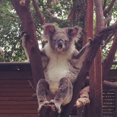 Natalia Hill, Darwin