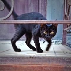 Леонид Молочный, 42 года