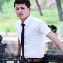 Dilshod Alimardonov, 29 лет, Душанбе