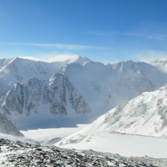 Александр Шведов, Новосибирск