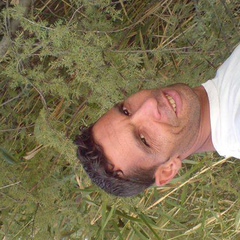 Amin Malik, 44 года, Chlef