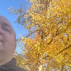 Павел Воронцов, 43 года, Санкт-Петербург